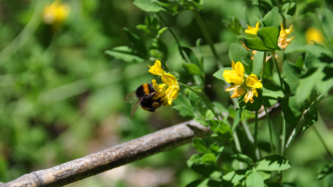 Foto 22 del Refugio Agostino Rocca