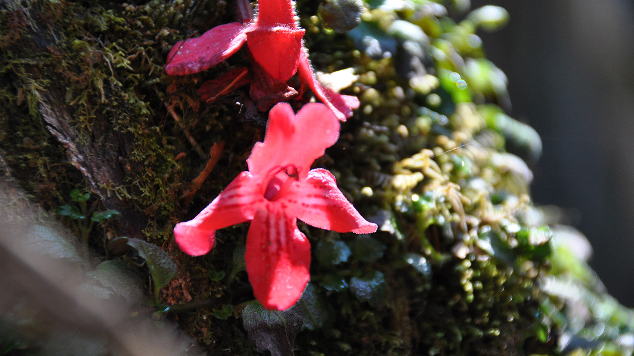 Foto 23 del Refugio Agostino Rocca