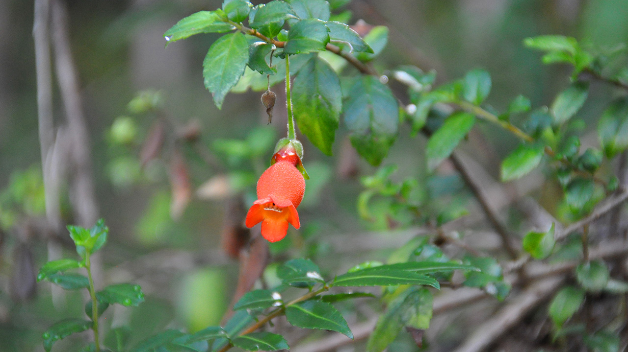 Foto 29 del Refugio Agostino Rocca
